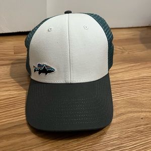 Patagonia Trucker Hat